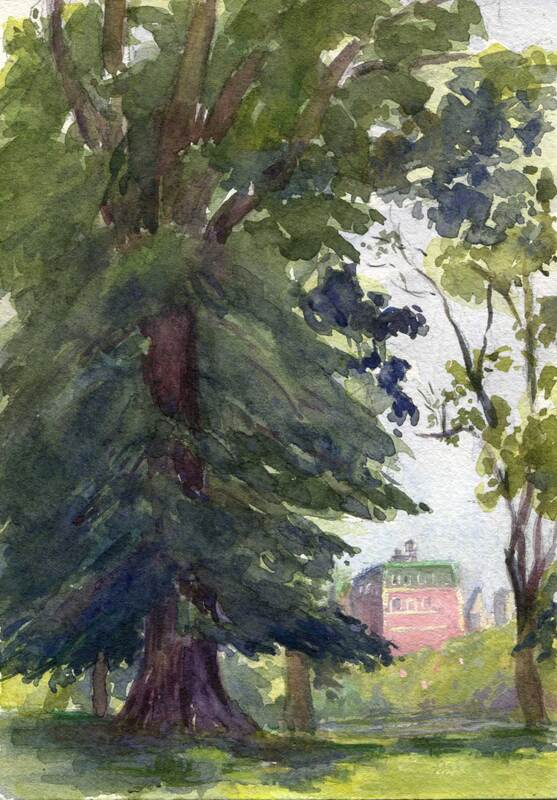 Are Meeden & Academy Watercolor Papers The Same? - Live Art & Chat 